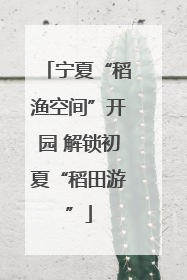 宁夏“稻渔空间”开园 解锁初夏“稻田游”
