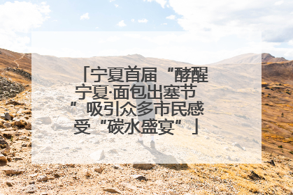 宁夏首届“酵醒宁夏·面包出塞节”吸引众多市民感受“碳水盛宴”