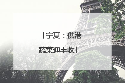 宁夏：供港蔬菜迎丰收