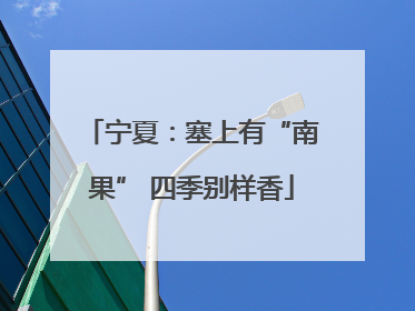 宁夏：塞上有“南果” 四季别样香