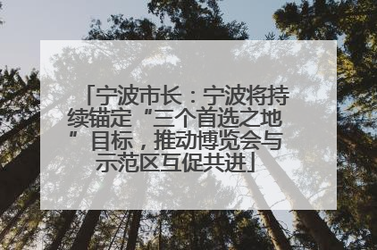 宁波市长：宁波将持续锚定“三个首选之地”目标，推动博览会与示范区互促共进