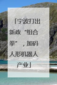 宁波打出新政“组合拳”，加码人形机器人产业