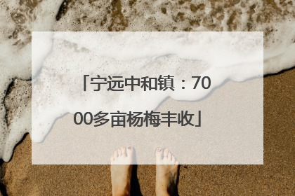 宁远中和镇：7000多亩杨梅丰收