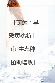 宁远：早熟黄桃新上市 生态种植助增收