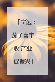 宁远：茄子喜丰收 产业促振兴