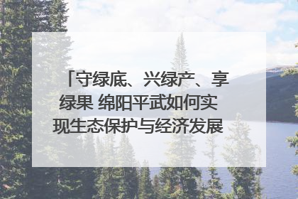 守绿底、兴绿产、享绿果 绵阳平武如何实现生态保护与经济发展双赢？｜新闻发布最前线·深一度