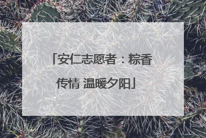 安仁志愿者：粽香传情 温暖夕阳