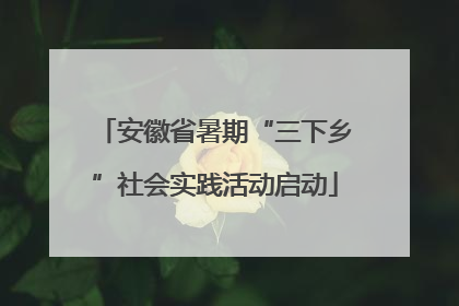 安徽省暑期“三下乡”社会实践活动启动