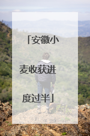 安徽小麦收获进度过半