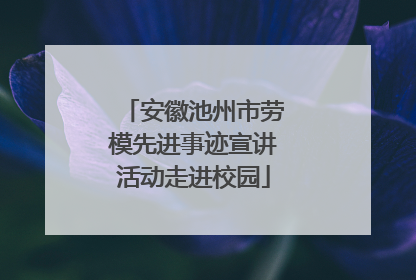 安徽池州市劳模先进事迹宣讲活动走进校园
