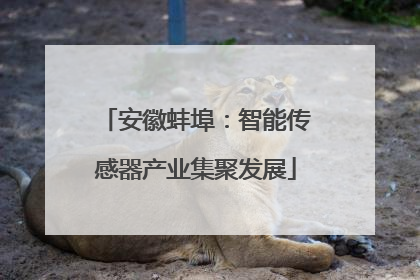 安徽蚌埠：智能传感器产业集聚发展