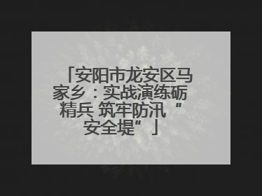 安阳市龙安区马家乡：实战演练砺精兵 筑牢防汛“安全堤”