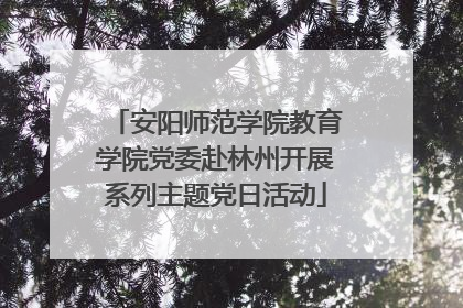 安阳师范学院教育学院党委赴林州开展系列主题党日活动