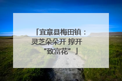 宜章县梅田镇：灵芝朵朵开 撑开“致富花”