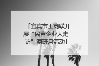 宜宾市工商联开展“民营企业大走访”调研月活动