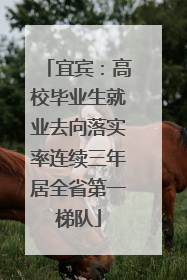 宜宾：高校毕业生就业去向落实率连续三年居全省第一梯队