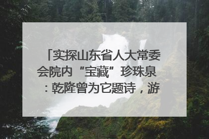 实探山东省人大常委会院内“宝藏”珍珠泉：乾隆曾为它题诗，游客无需预约免费游览