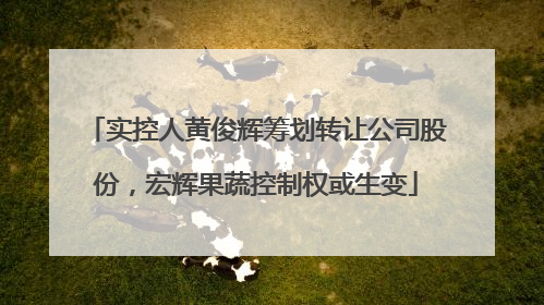 实控人黄俊辉筹划转让公司股份，宏辉果蔬控制权或生变