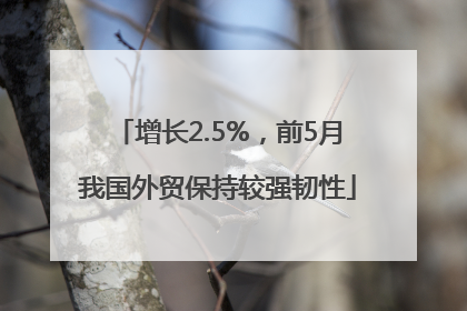 增长2.5%，前5月我国外贸保持较强韧性
