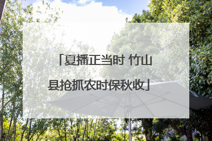夏播正当时 竹山县抢抓农时保秋收