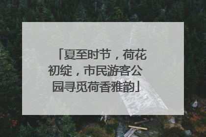夏至时节，荷花初绽，市民游客公园寻觅荷香雅韵