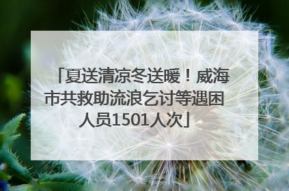 夏送清凉冬送暖！威海市共救助流浪乞讨等遇困人员1501人次