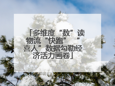 多维度“数”读物流“快跑” “喜人”数据勾勒经济活力画卷