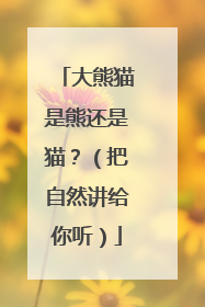 大熊猫是熊还是猫？（把自然讲给你听）
