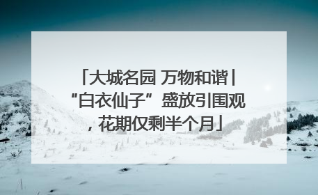 大城名园 万物和谐│“白衣仙子”盛放引围观，花期仅剩半个月