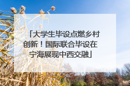 大学生毕设点燃乡村创新！国际联合毕设在宁海展现中西交融