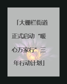 大栅栏街道正式启动“暖心万家行”三年行动计划