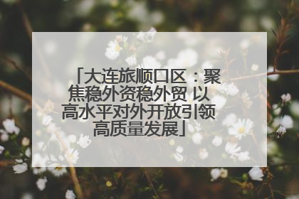 大连旅顺口区：聚焦稳外资稳外贸 以高水平对外开放引领高质量发展