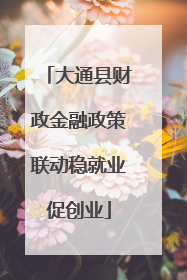 大通县财政金融政策联动稳就业促创业