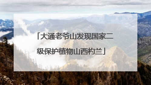 大通老爷山发现国家二级保护植物山西杓兰