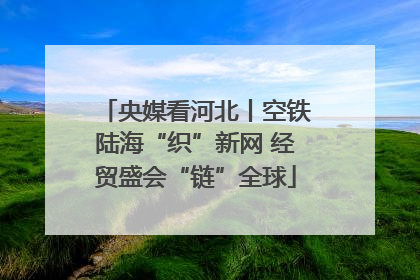 央媒看河北丨空铁陆海“织”新网 经贸盛会“链”全球
