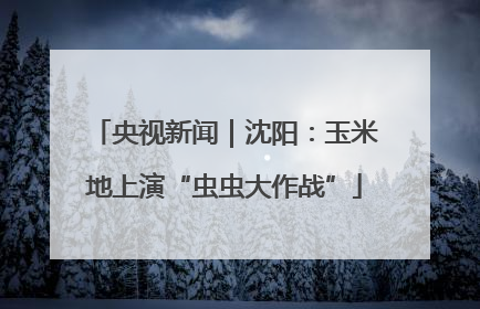 央视新闻｜沈阳：玉米地上演“虫虫大作战”