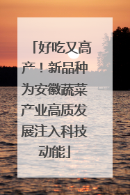 好吃又高产！新品种为安徽蔬菜产业高质发展注入科技动能