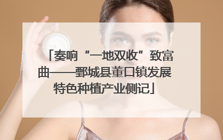 奏响“一地双收”致富曲——鄄城县董口镇发展特色种植产业侧记
