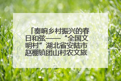 奏响乡村振兴的春日和弦——“全国文明村”湖北省安陆市赵棚镇团山村农文旅融合发展见闻