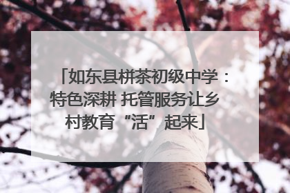 如东县栟茶初级中学：特色深耕 托管服务让乡村教育“活”起来