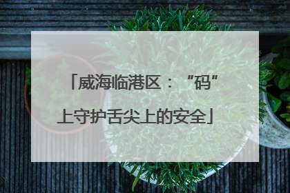 威海临港区：“码”上守护舌尖上的安全