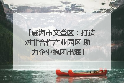 威海市文登区：打造对非合作产业园区 助力企业抱团出海