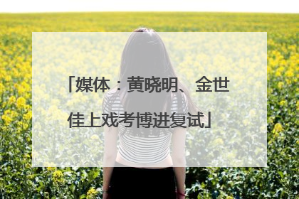 媒体：黄晓明、金世佳上戏考博进复试