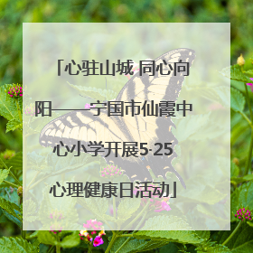 心驻山城 同心向阳——宁国市仙霞中心小学开展5·25心理健康日活动