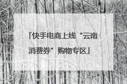 快手电商上线“云南消费券”购物专区