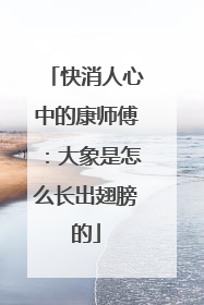 快消人心中的康师傅：大象是怎么长出翅膀的