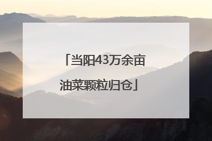 当阳43万余亩油菜颗粒归仓