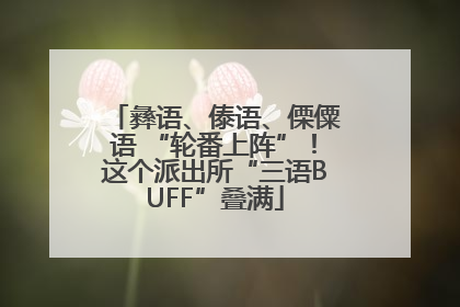 彝语、傣语、傈僳语 “轮番上阵”！这个派出所“三语BUFF”叠满