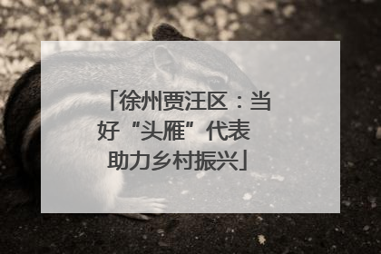 徐州贾汪区：当好“头雁”代表 助力乡村振兴