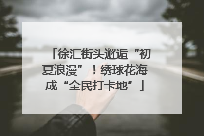 徐汇街头邂逅“初夏浪漫”！绣球花海成“全民打卡地”